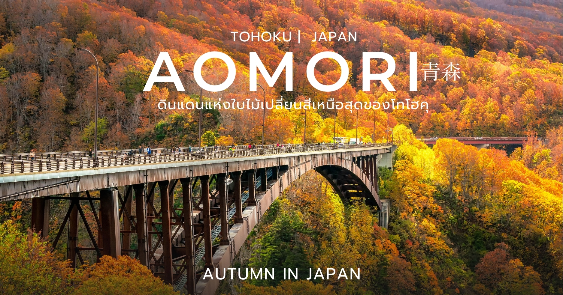 Autumn in Japan: อาโอโมริ ดินแดนแห่งใบไม้เปลี่ยนสีเหนือสุดของภูมิภาคโทโฮคุ